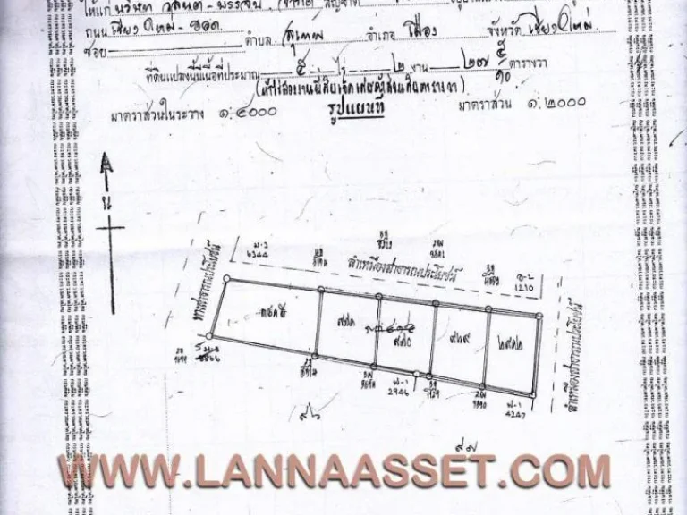 ขายที่ดินทำรีสอร์ท