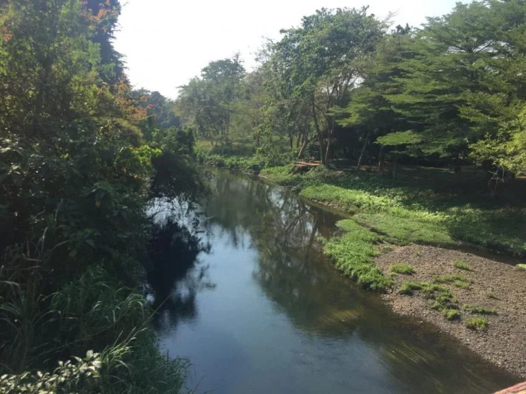 ที่ดินติดแม่น้ำเพชรบุรี 3 ไร่เศษ วิวสวย ลงเล่นน้ำได้