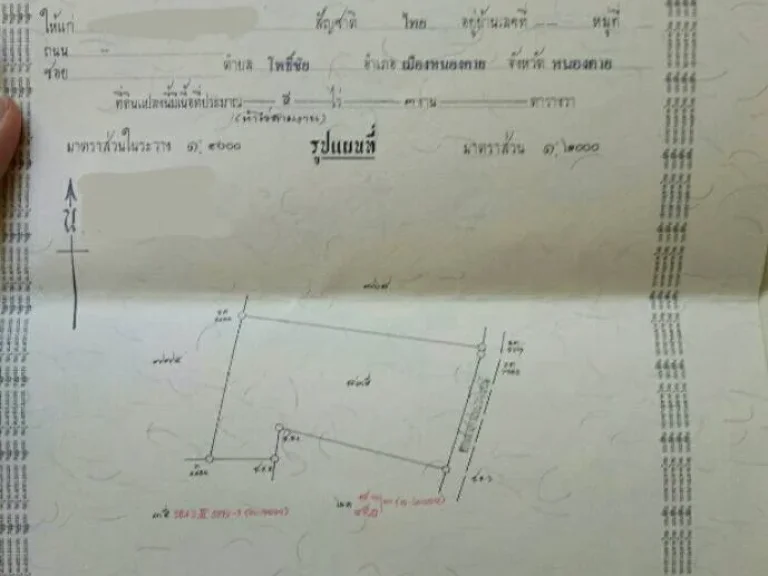 ขายที่ดิน 3ไร่ 3งาน ราคา 165ล้านบาท ยกแปลง ตห้วยยาง อเมือง จสกลนคร