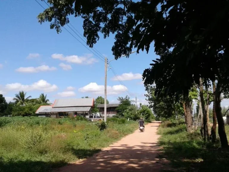 ขายที่ดิน 50ไร่ ติดถนนสุระนารายณ์ ตห้วยยายจิ๋ว อเทพสถิต จชัยภูมิ