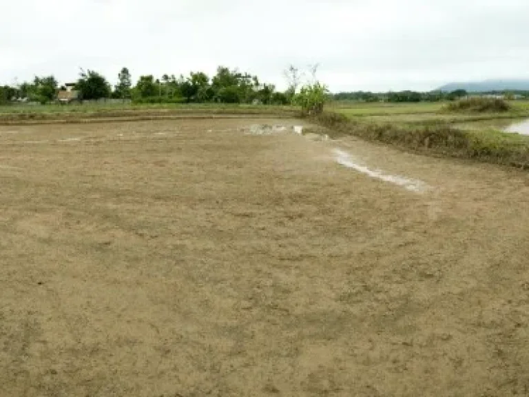 ขายที่ดินติดถนนพหลโยธิน 109 ไร่ ราคาไร่ละ 12 ล้านบาท