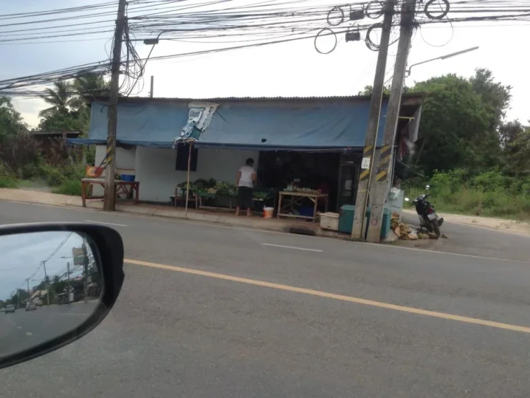 ขายที่ดิน ในเมืองสุราษฎร์ธานี