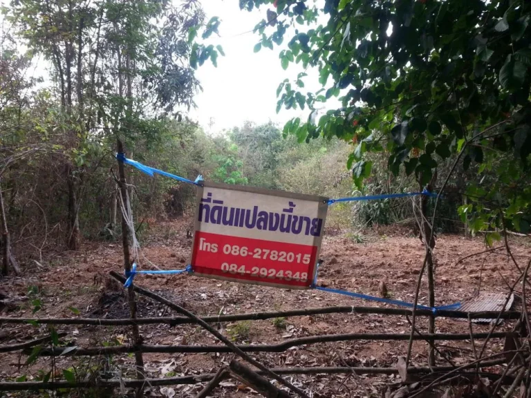 ขายที่ดิน ในอำเภอหาดใหญ่หาดใหญ่ใน อยู่บนที่สูงน้ำไม่ท่วม จำนวน5ห้อง เจ้าของขายเอง ไม่ผ่านนายหน้า