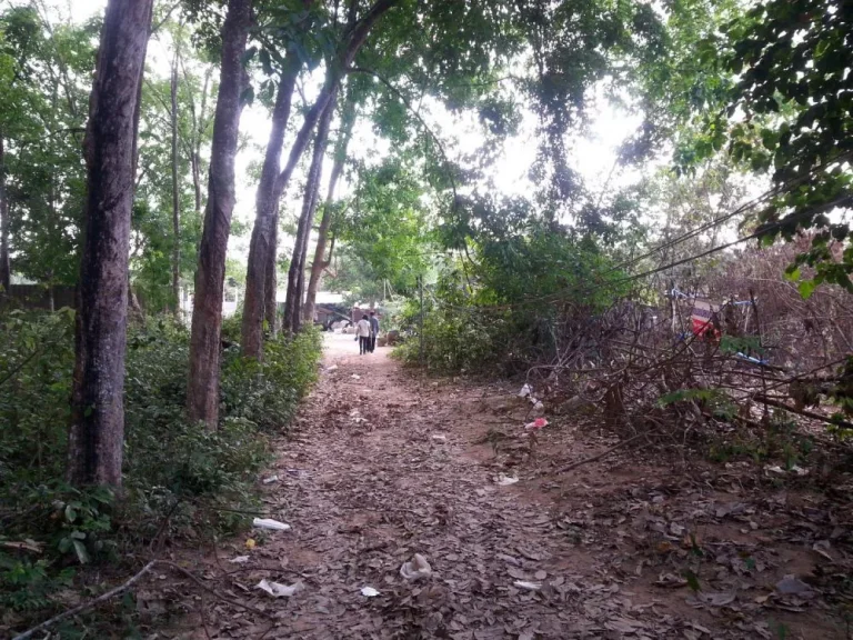 ขายที่ดิน ในอำเภอหาดใหญ่หาดใหญ่ใน อยู่บนที่สูงน้ำไม่ท่วม จำนวน5ห้อง เจ้าของขายเอง ไม่ผ่านนายหน้า