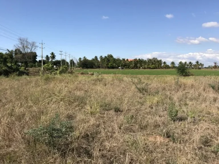 ขาย ที่ดินเปล่า ตำบลวัดพริก ติดถนนใหญ่ ทำเลตี ถมเรียบร้อย