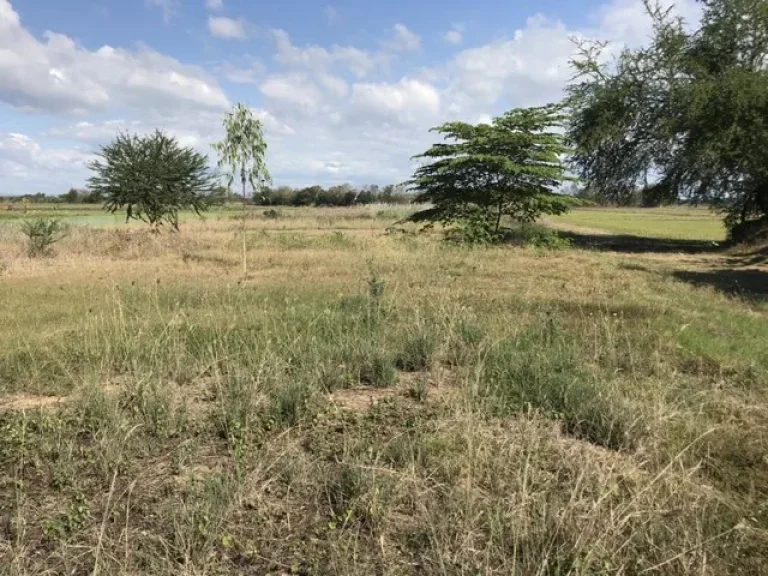 ขาย ที่ดินเปล่า ตำบลวัดพริก ติดถนนใหญ่ ทำเลตี ถมเรียบร้อย