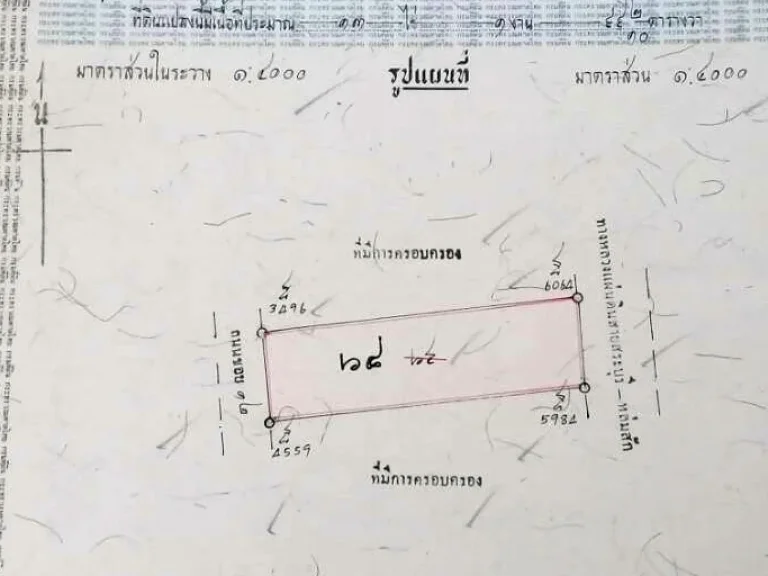 ขายที่ดิน แปลงสวย 13 ไร่ ติดถนนสระบุรี-หล่มสัก