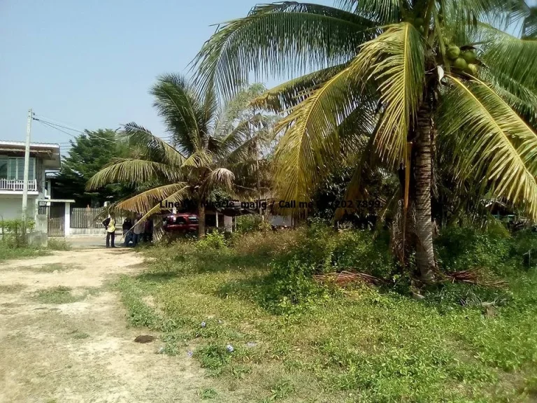 ที่ดินโฉนดติดชายหาดปลูกบ้าน