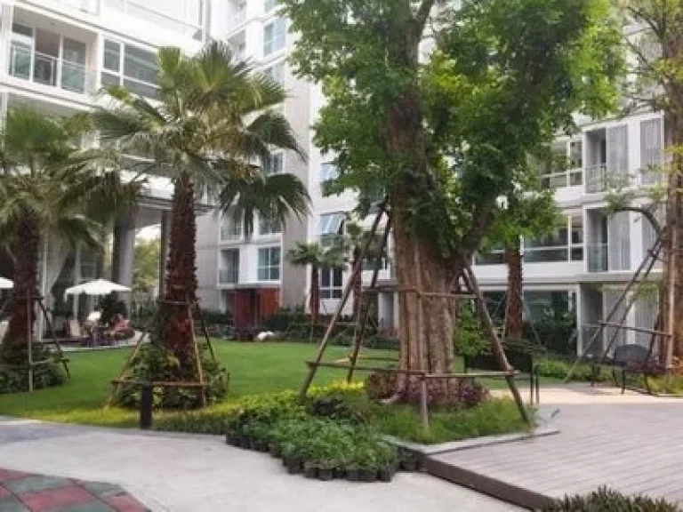 For rent Mayfair condo สุขุมวิท 64 ขนาด 2 นอน 44 ตรม