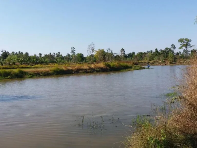 ที่ดินติดห้วย สวย บ้านตาปิม บัวเชด สุรินทร์