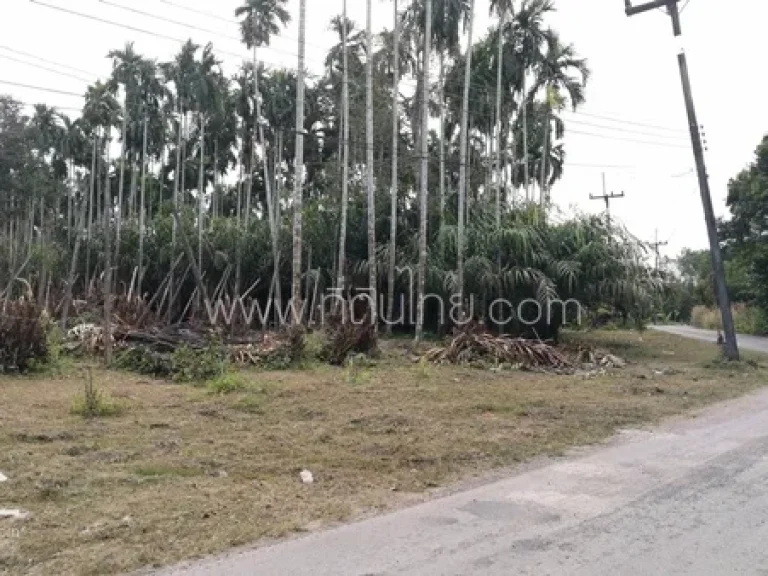 ขายสวนผลไม้ติดถนนสามผาน 2 ไร่ โฉนด ตสองพี่น้อง อท่าใหม่ จจันทบุรี รหัส 3908