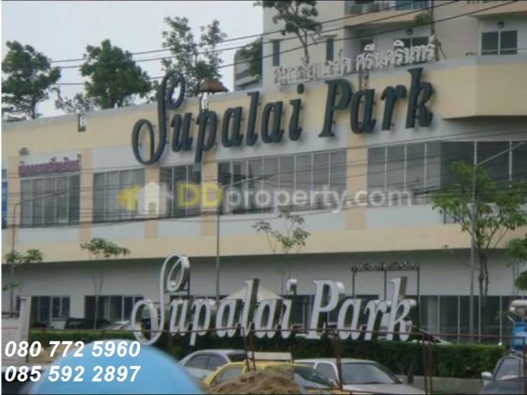 คอนโดให้เช่า Supalai Park Srinakarin ศุภาลัย ปาร์ค ศรีนครินทร์ Supalai Park Srinakarin ศรีนครินทร์ หนองบอน ประเวศ 1 พร้อมอยู่ ราคาถูก