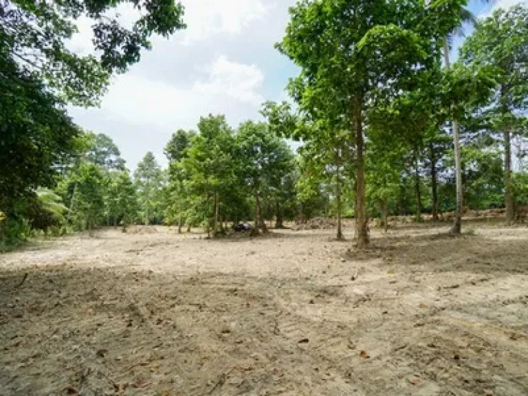 Land for Sale in Koh Samui 4 Rai near Taling Ngam beach best location very Quiet place good for make Villa project Etc