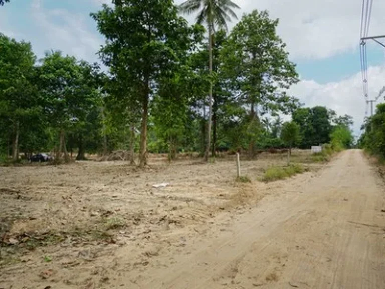 Land for Sale in Koh Samui 4 Rai near Taling Ngam beach best location very Quiet place good for make Villa project Etc