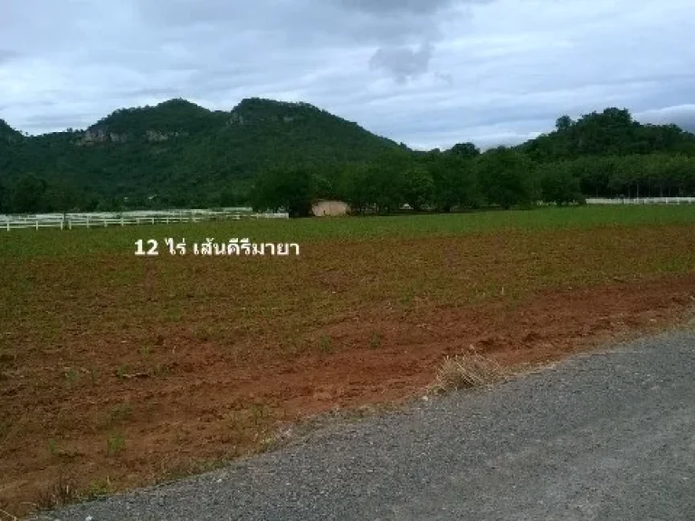 ขายที่ดินถนนเส้นคีรีมายา หมูสี เขาใหญ่ 12ไร่ วิวเขาใหญ่ 180 องศา หน้าติดถนนลูกรังอัดบด โฉนดพร้อมโอน