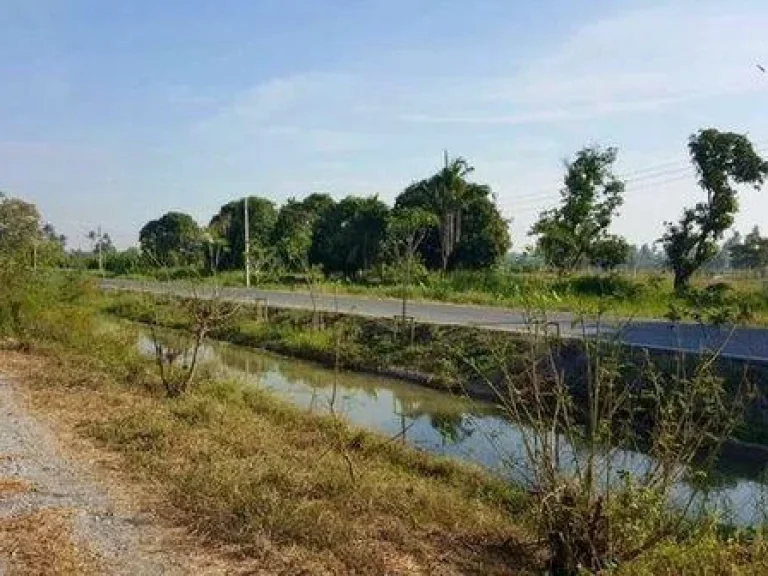 ขายที่ดินติดคลองชลประทาน เมืองสุพรรณฯ