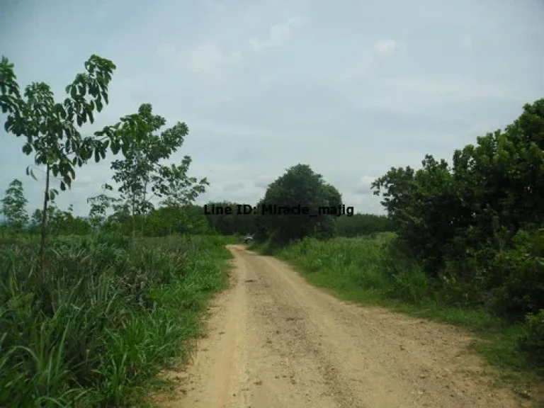 ที่ดินทำเกษตรหรือที่อยู่อาศัย