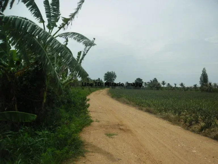 ที่ดินทำเกษตรหรือที่อยู่อาศัย