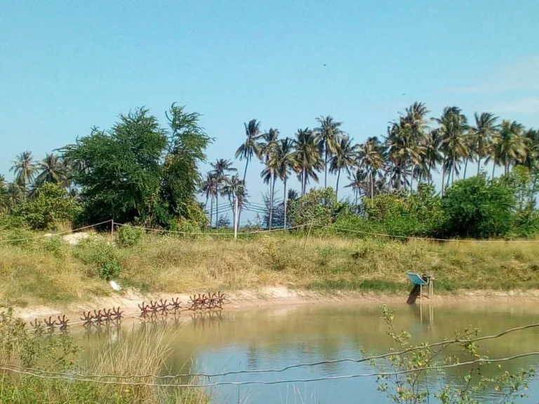 ขายที่ดิน จังหวัดประจวบคีรีขันธ์ อำเภอทับสะแก ห่างทะเลเพียง 200 เมตร