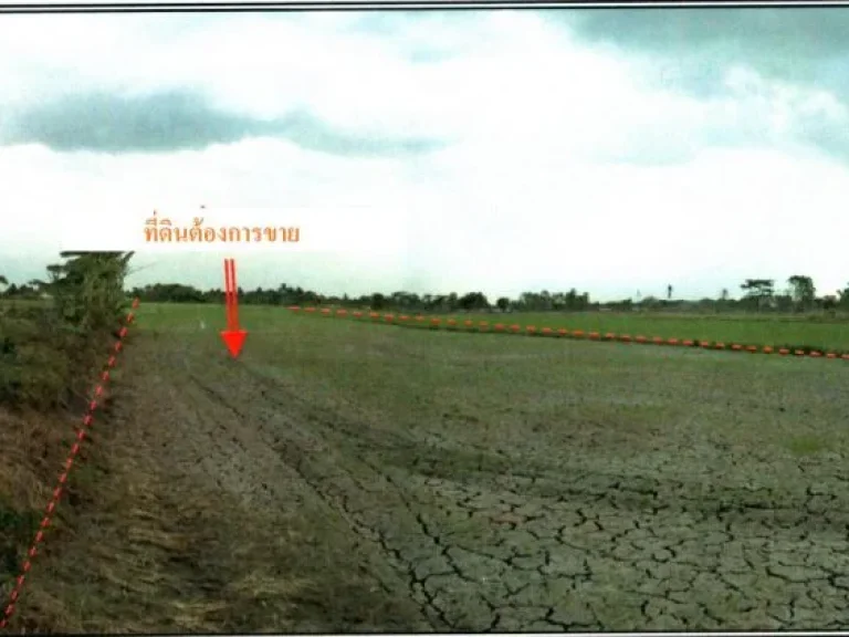 ขายที่ดินเปล่าติดถนนสายลาดบัวหลวง-ไม้ตรา ตพระยาบรรลือ อลาดบัวหลวง จอยุธยา เนื้อที่ 10 ไร่ 3 งาน 11 วา ราคา 8622000 บาท