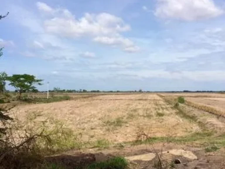 ขายที่ดินติดถนน หลังมสวนดุสิต สุพรรณฯ