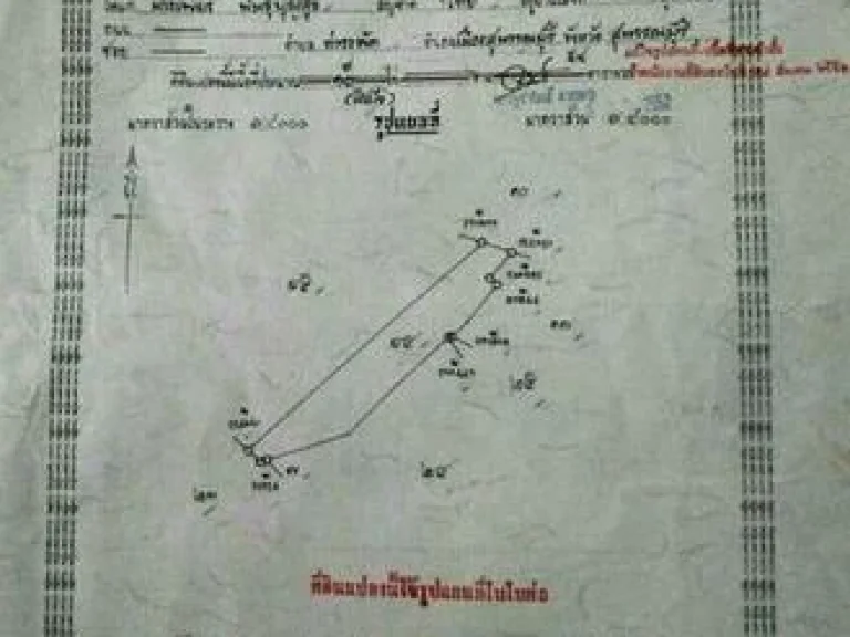 ขายที่ดินติดถนน หลังมสวนดุสิต สุพรรณฯ