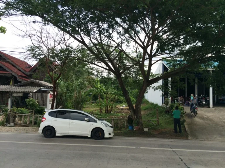 ขายที่ดิน 105 ตรว บ่อแฮ้ว ใกล้ตลาดท่าขัว ลำปาง