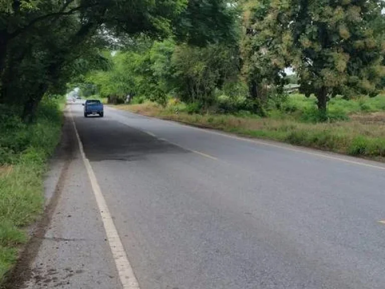 ขายที่ดิน ๕๐ ตรวติดถนนสุระนารายณ์๒๐๕ ตบัวชุม อชัยบาดาล จลพบุรี