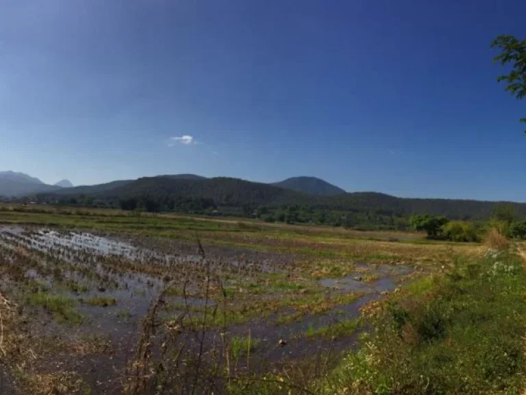 ขายที่นา 17 ไร่ ตบ้านโป่ง อพร้าว จเชียงใหม่ มีโฉนด