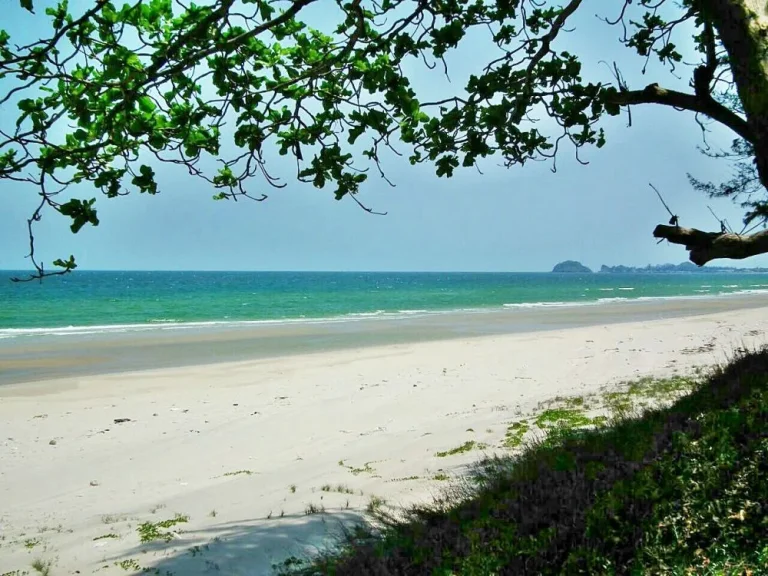 ขายที่ดินติดชายหาดดอนสำราญบางสะพาน