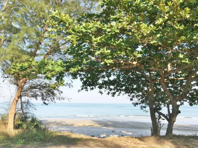 ขายที่ดินติดชายหาดดอนสำราญบางสะพาน