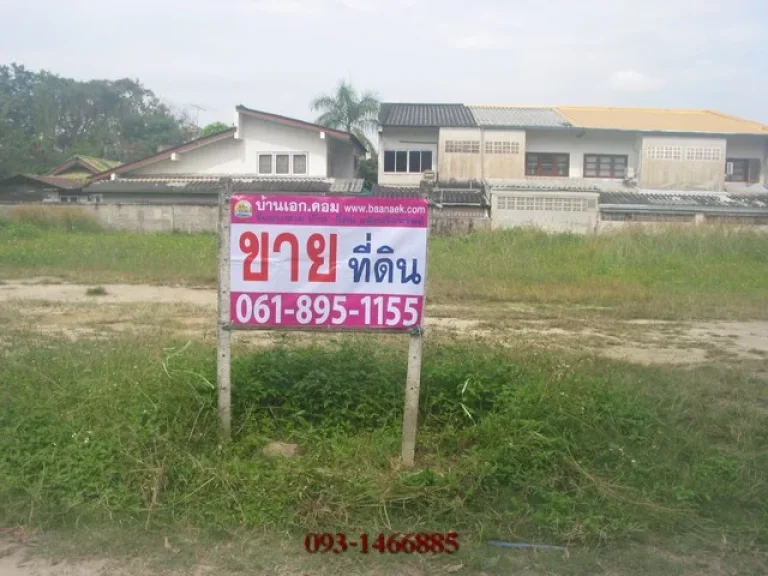 เชียงใหม่ขายที่ดินสวย282ตรวในซอยตรงข้ามสวนดอกถนนสุเทพ