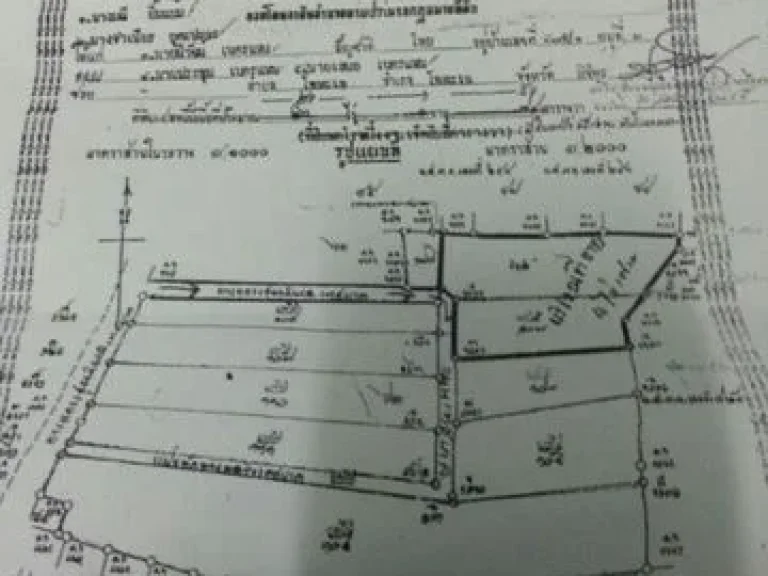 ขายที่ดินแถวเทศบาลโพทะเล 4 ไร่ 2 งานเศษ ทำเลดีมาก เจ้าของขายเองจพิจิตร