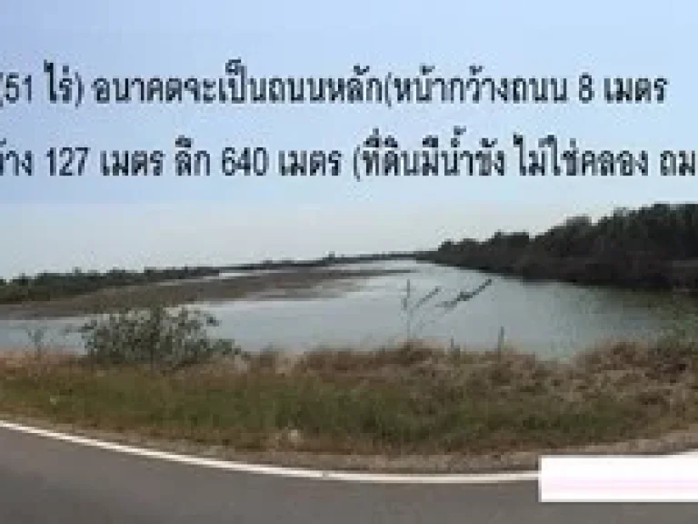 โคตรถูก ที่ดิน สำหรับสร้างโรงงาน ใกล้ถนนพระราม2 ถนนเอกชัยสายเก่า สมุทรสาคร 51 ไร่ เหมาะสร้างโรงงาน บ้านจัดสรร ด่วน