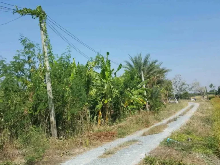 ขายที่ดินไร่นาสวนผสม พร้อมบ้าน เมืองสุพรรณฯ