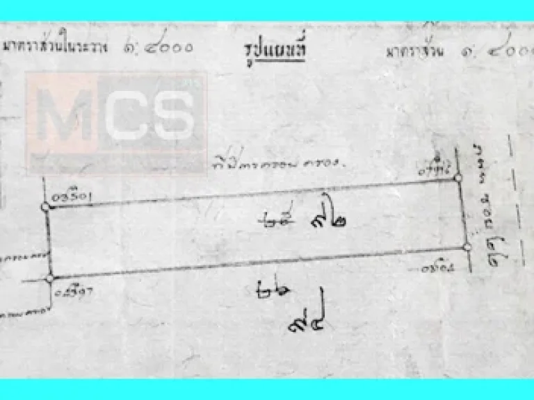 ที่ดิน 47 ไร่ ซอย22 พัฒนานิคม ราคาถูกมาก