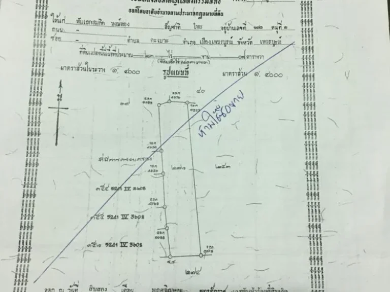 ต้องการขายที่ดิน 55 ไร่