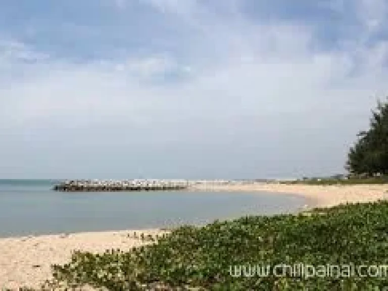 ที่ดินติดทะเลหาดมาบตาพุด โฉนด61 ไร่ เหมาะทำท่าเรือและโรงงานอุตสาหกรรม คลังสินค้า