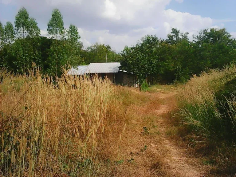 ขายที่ดินราคาถูกอำเภอเมืองขอนแก่น 850000 บาท