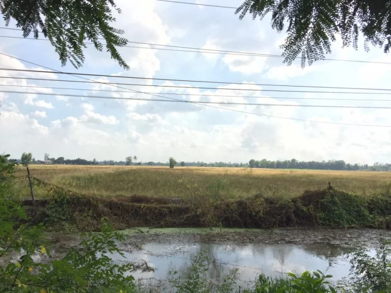 ที่ดิน8ไร่ติดถนนใหญสุพรรณบุรี