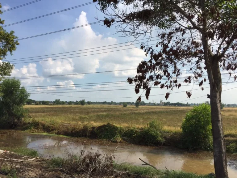 ที่ดิน8ไร่ติดถนนใหญสุพรรณบุรี