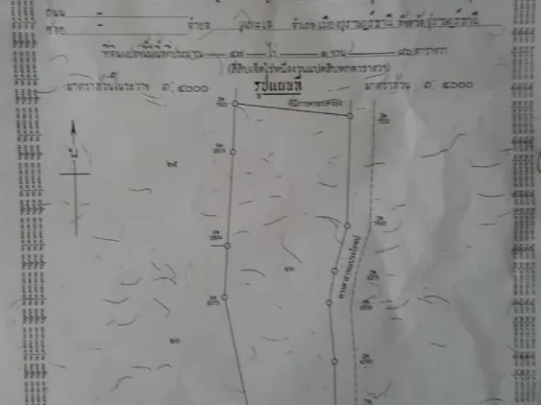 ขายที่ดินจำนวน 215 ไร่ ตเสวียด อท่าฉาง จสุราษฎร์ธานี รายละเอียดตามเอกสารแนบ