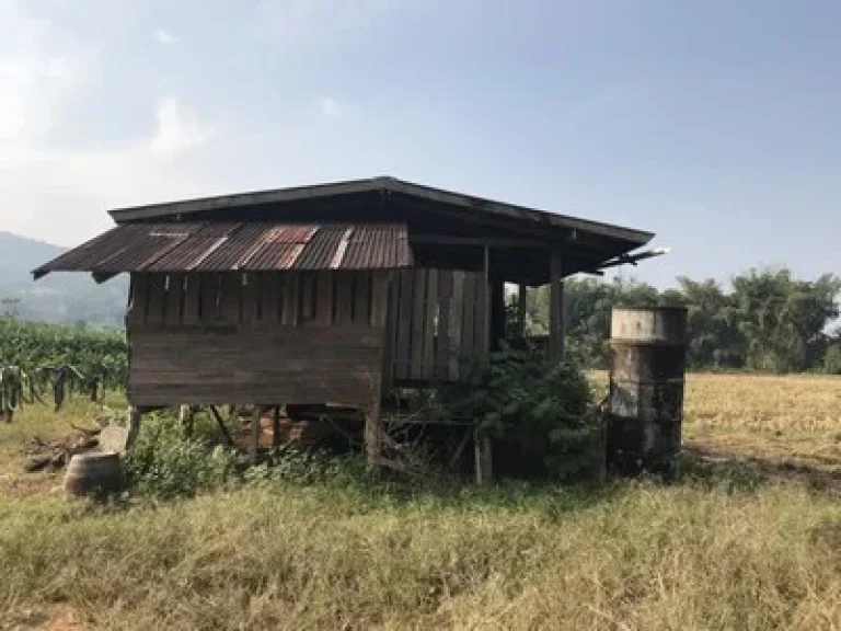 ที่ดินภูเรือ จ เลยราคาถูก34ไร่ เป็นสวนผลไม้ อากาศดีตลอดปี ใกล้สถานที่ปฎิบัติธรรมของวัดพระธรรมกาย