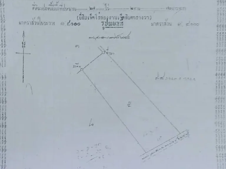 ขายที่ดินแปลงสวน พร้อมต้นมะม่วงน้ำดอกไม้