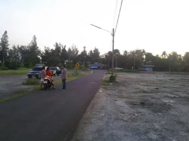 ขายที่ดิน ห่างทะเล300เมตร แบ่งขาย ชายหาดแหลมสิงห์ จันทบุรี