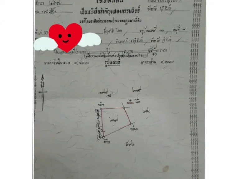 ขายที่ด่วนมาก ต่อรองได้