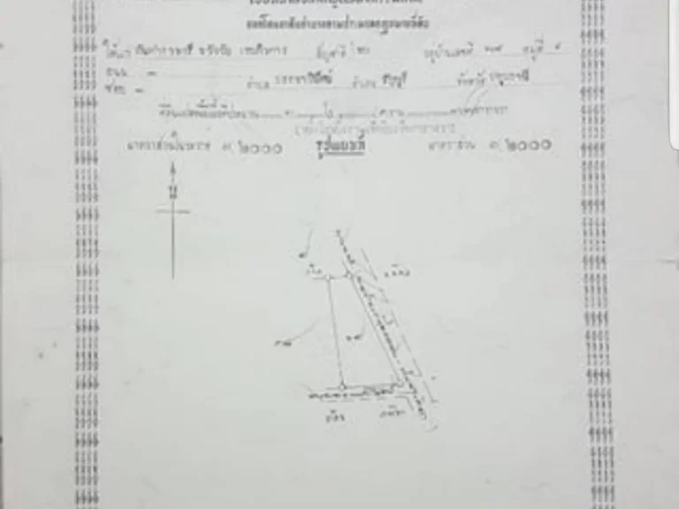 ขายที่ดิน เนื้อที่ 1 ไร่ 1 งาน 77 ตารางวา อำเภอ เหนือคลอง จังหวัด กระบี่