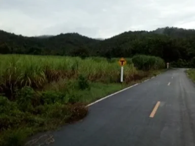 ที่ดินสวรรคโลก มีโฉนดราคาถูก 25 ไร่ ทำเลสวยมาก ติดเชิงเขา ธรรมชาติสวยมาก ตำบลนาทุ่ง จังหวัดสุโขทัย อยู่ในชุมชน มีถนนผ่าน ระบบน้ำไฟพร้อม ทำเลสวย