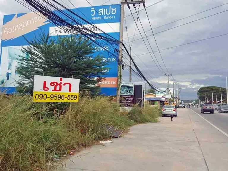 ให้เช่าที่ดินติดถนนหนองยายบู่ ใกล้ตลาด Tree Box 1-3-83 ไร่