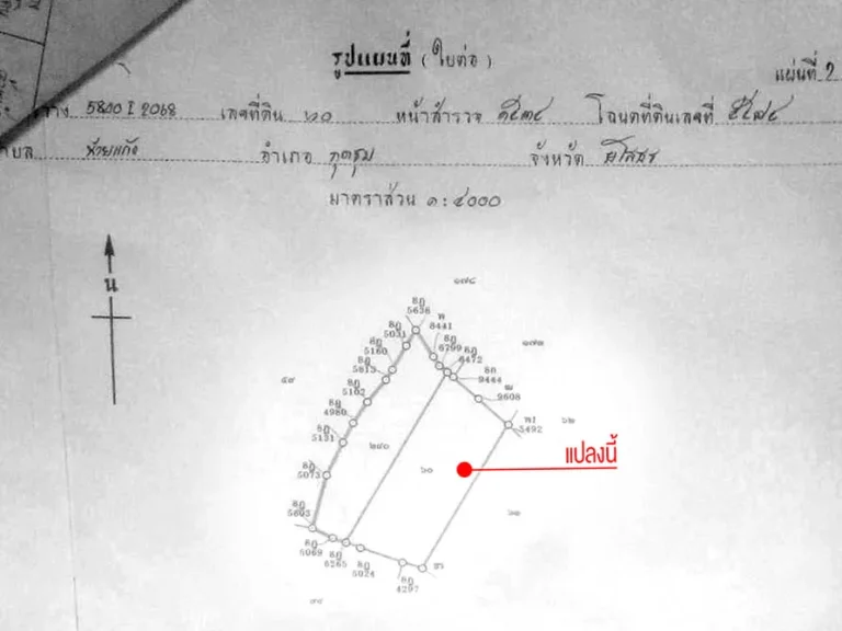 ขายที่นาขนาด 11 ไร่ 56 ตรวา ขายไร่ละ 160000 บาท